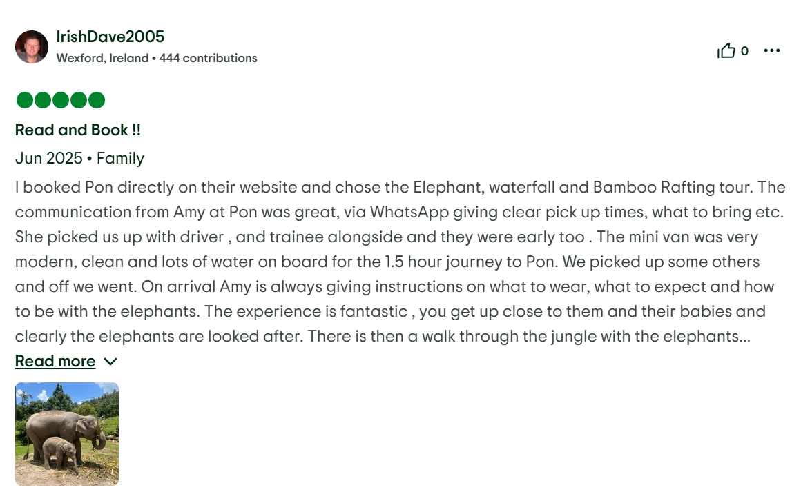 pon elephpant chiangmai thailand reviews